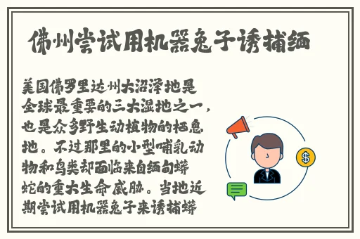 兔聊app旧版本下载
